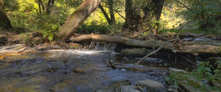 HR-Fernsehen Reisereportage: Traumwege – Wanderungen von der Saar bis an den Rhein