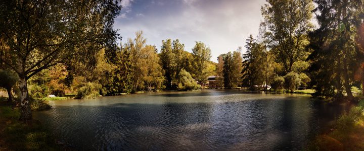 Unsere aktuelle Speisekarte für den Herbst