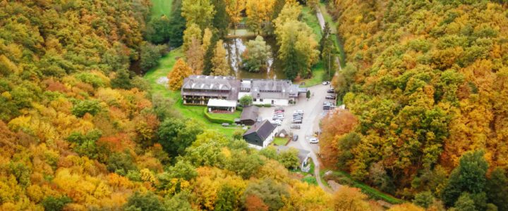 Der Herbst in seinen schönsten Farben